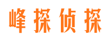 龙游侦探